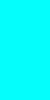 34815.png
